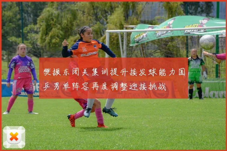 樊振东闭关集训提升接发球能力国乒男单阵容再度调整迎接挑战